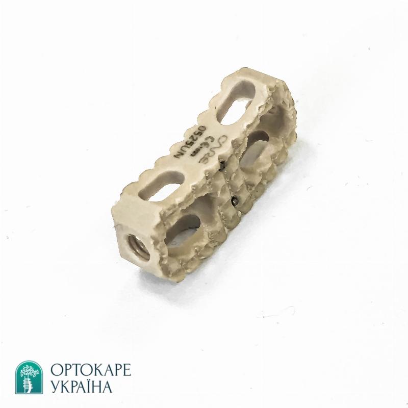 Боковий грудний міжхребцевий кейдж PEEK Ø4 "ORTHO CARE"